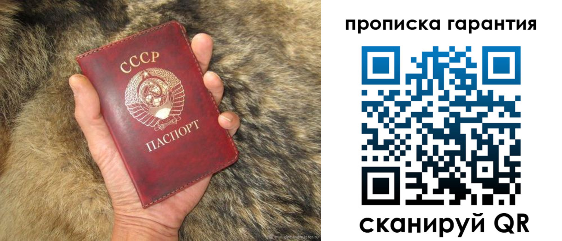 прописка паспорт в Онеге